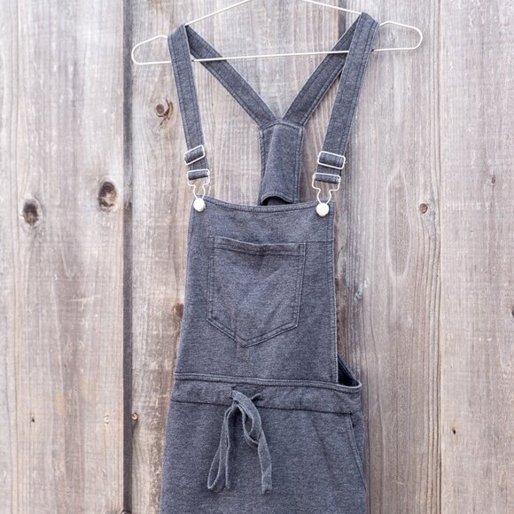 Z Supply Overall Dress, XS, Gray - Picture 2 of 5